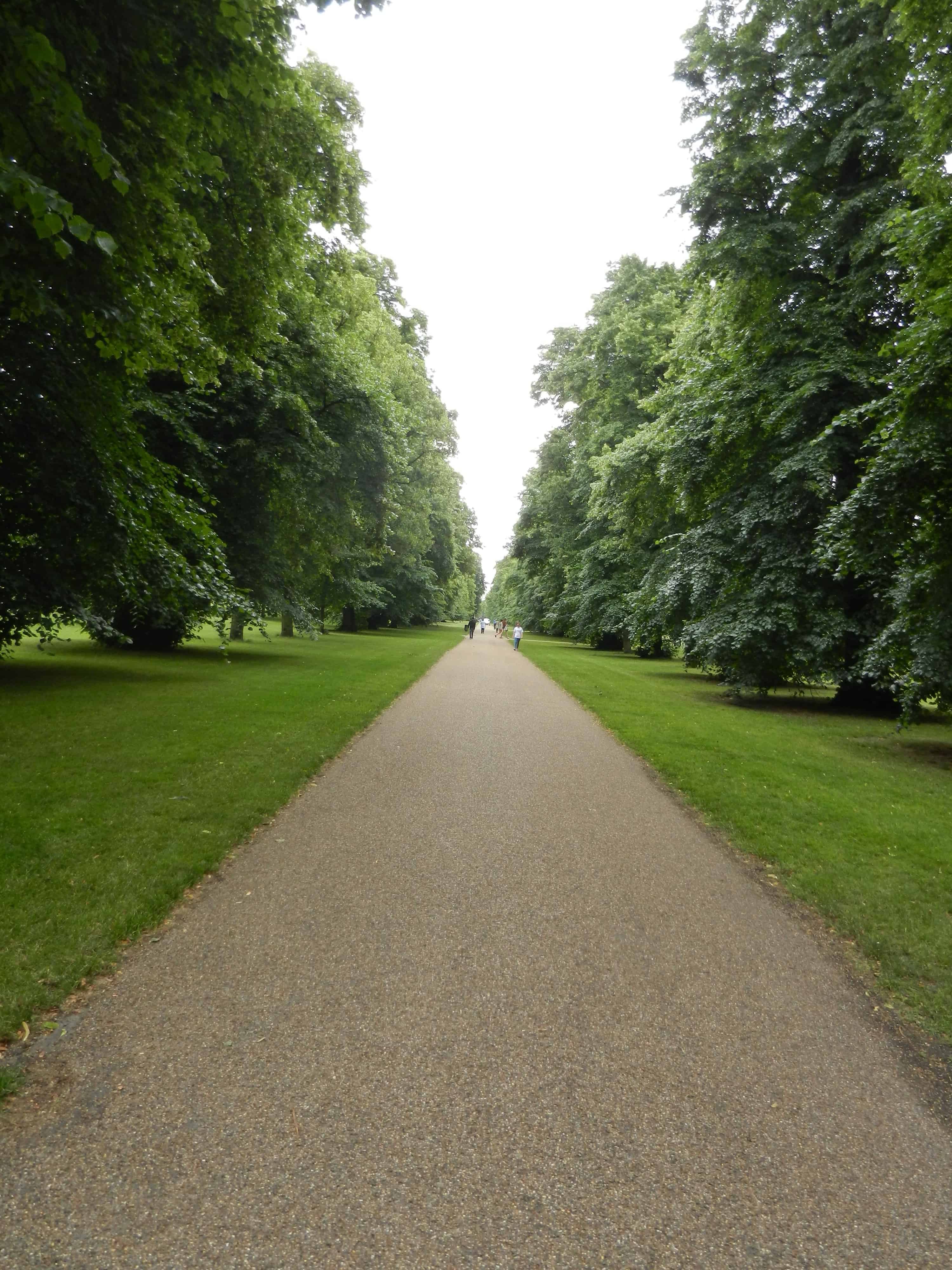 Hyde Park 2014-06-20 20.36.21