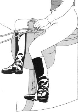 Side Saddle Illustration